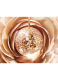ABSOLUE THE SERUM 7