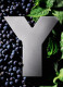 Y EAU DE PARFUM INTENSE 5