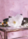 FLORA GORGEOUS JASMINE EAU DE PARFUM 14