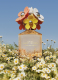 EVER SO FRESH EAU DE PARFUM 8