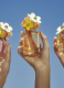 EVER SO FRESH EAU DE PARFUM 10