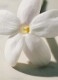 CHLOE SIGNATURE L'EAU DE PARFUM LUMINEUSE  5