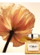  LE NECTAR PARFUM INTENSE  5