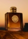 GODDESS AMBER VANILLA EAU DE PARFUM INTENSE FOR WOMEN 5
