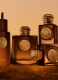 GODDESS AMBER VANILLA EAU DE PARFUM INTENSE FOR WOMEN REFILL 6