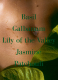 SYNTHETIC JUNGLE PERFUME 6