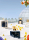 OUD SATIN MOOD PRECIOUS ELIXIR 3