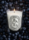 BAIES SCENTED CANDLE 1
