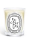 EUCALYPTUS SCENTED CANDLE 0
