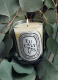 EUCALYPTUS SCENTED CANDLE 1