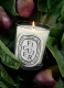 FIGUIER SCENTED CANDLE 1