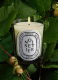 HAZELNUT TREE SCENTED CANDLE 1