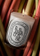 RHUBARBE SCENTED CANDLE 1