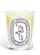 CITRONNELLE SCENTED CANDLE 0