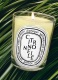 CITRONNELLE SCENTED CANDLE 1