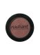 PROFESSIONAL EYE COLOR - SHIMMER 1