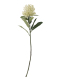 ΤΕΧΝΗΤΟ ΦΥΤΟ NEEDLE FLOWER STEM 0