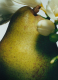 ENGLISH PEAR SET 1