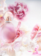 ROSE GOLDEA BLOSSOM DELIGHT EAU DE TOILETTE 7