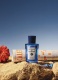FICO DI AMALFI EAU DE TOILETTE 4