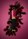 FABULOUS EYES MASCARA WATERPROOF 12