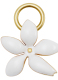 JASMINE 5