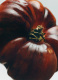 TOMATO LARGE SCENTED CANDLE 2