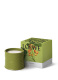 LOEWE PISTACHIO MEDIUM SCENTED CANDLE 1
