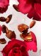 THE RITUAL OF AYURVEDA HAND WASH REFILL 1