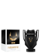 INVICTUS VICTORY EAU DE PARFUM 3