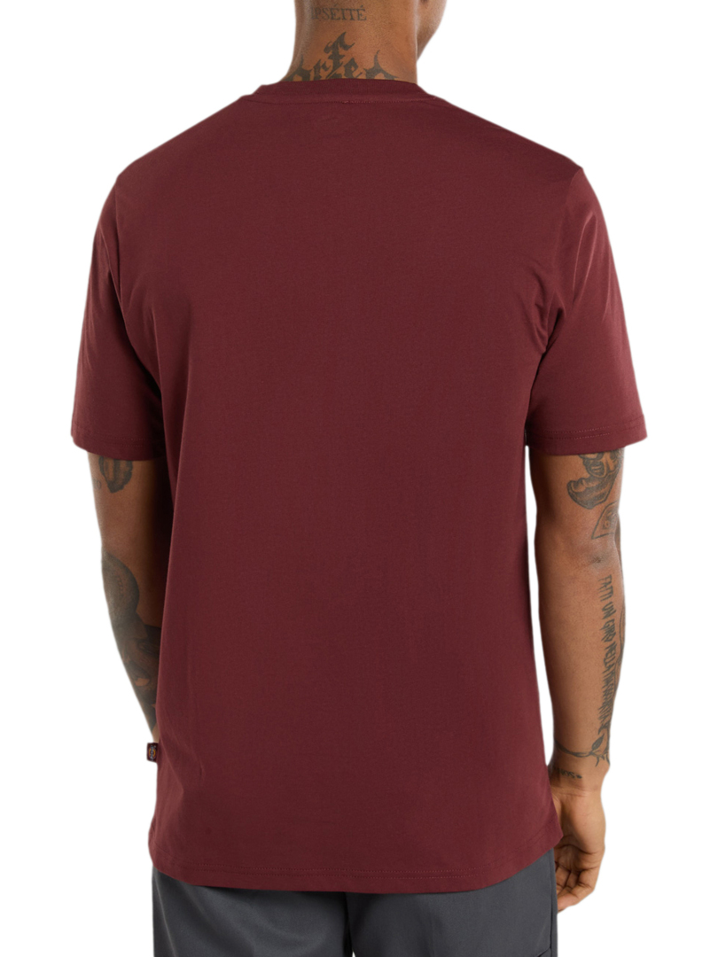 ΑΝΔΡΙΚΟ T-SHIRT SS MAPLETON 2