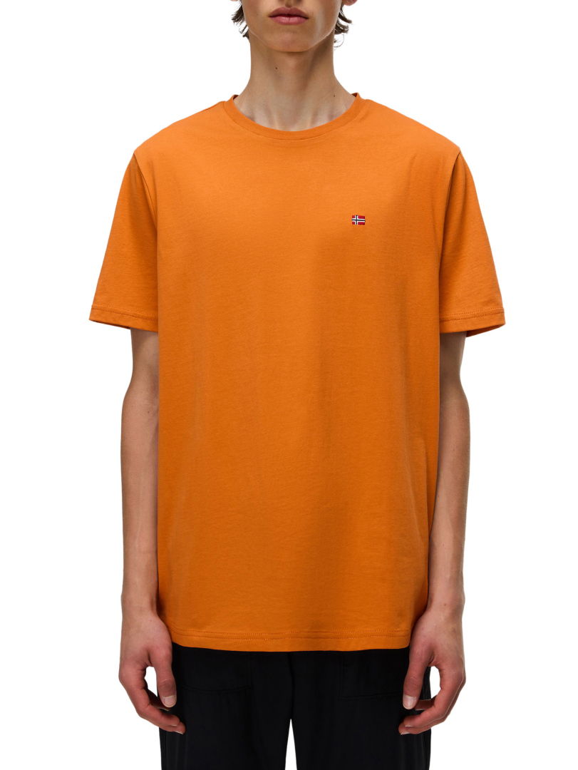 ΑΝΔΡΙΚΟ T-SHIRT ΜΕ ΛΟΓΟΤΥΠΟ SALIS SS SUM 1