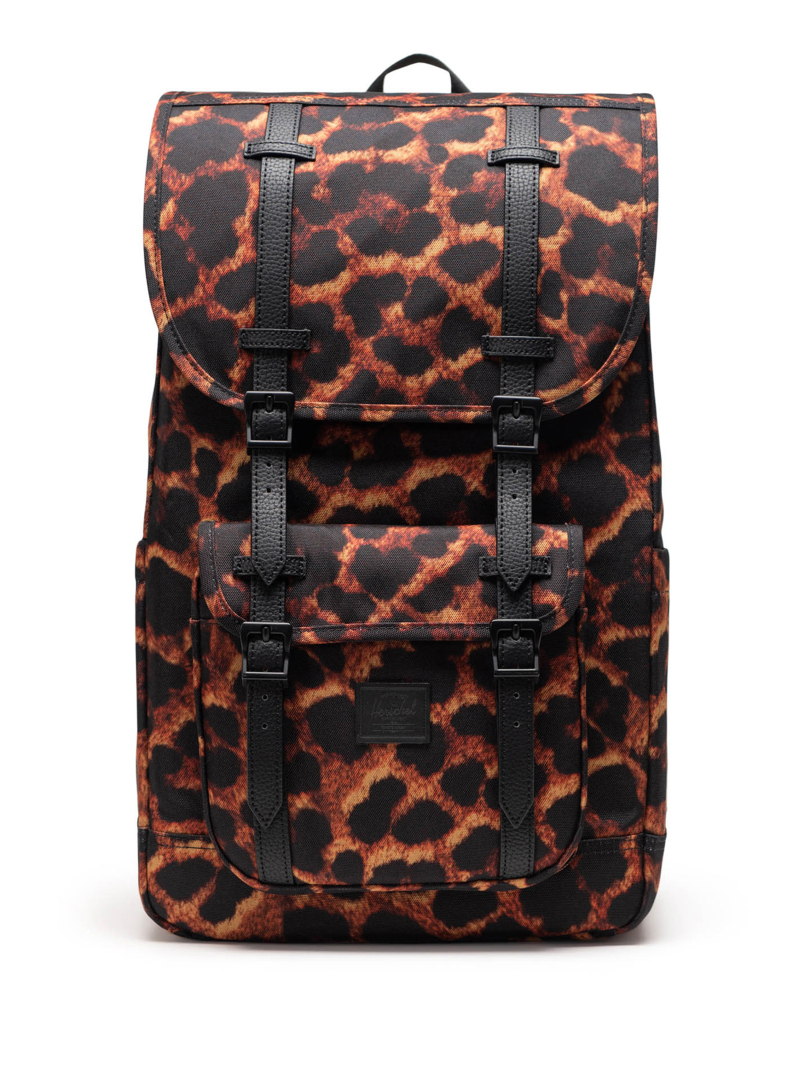 ΣΑΚΙΔΙΟ ΠΛΑΤΗΣ LITTLE AMERICA 0