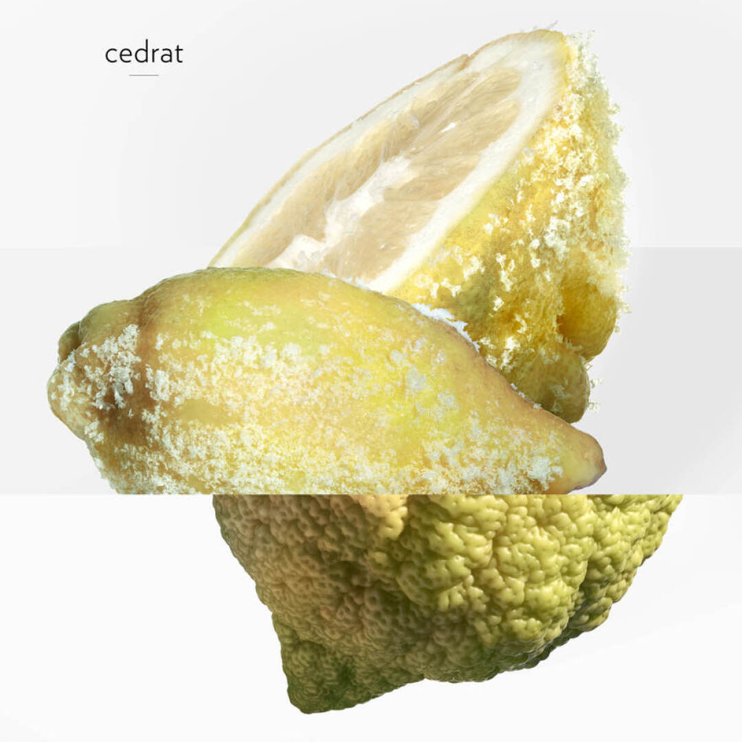 TERRE D'HERMÈS EAU GIVRÉE EAU DE PARFUM 5