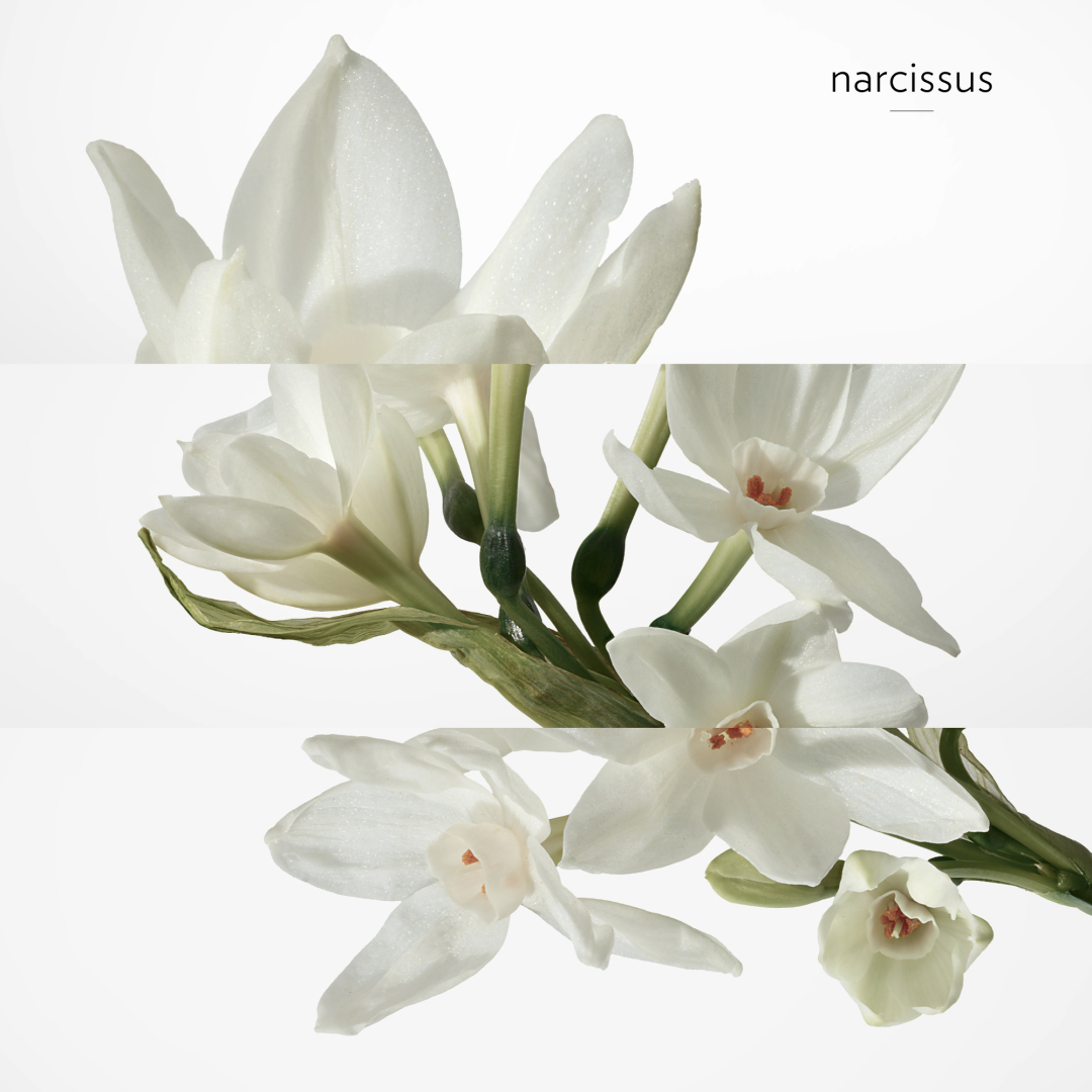 H24 FACE ENERGIZING MOISTURIZER 5