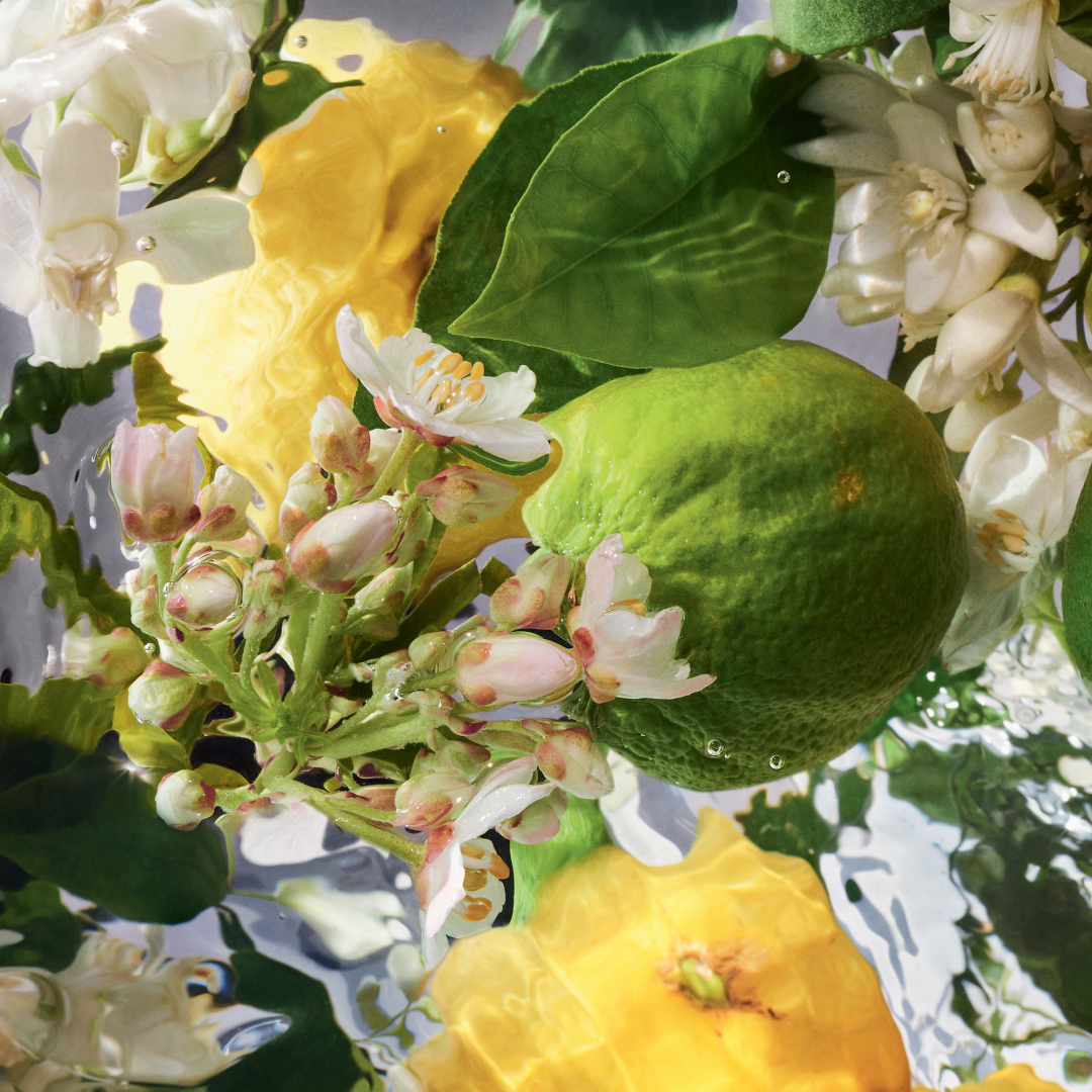 AQUA ALLEGORIA BERGAMOTE CALABRIA  EAU DE TOILETTE  3