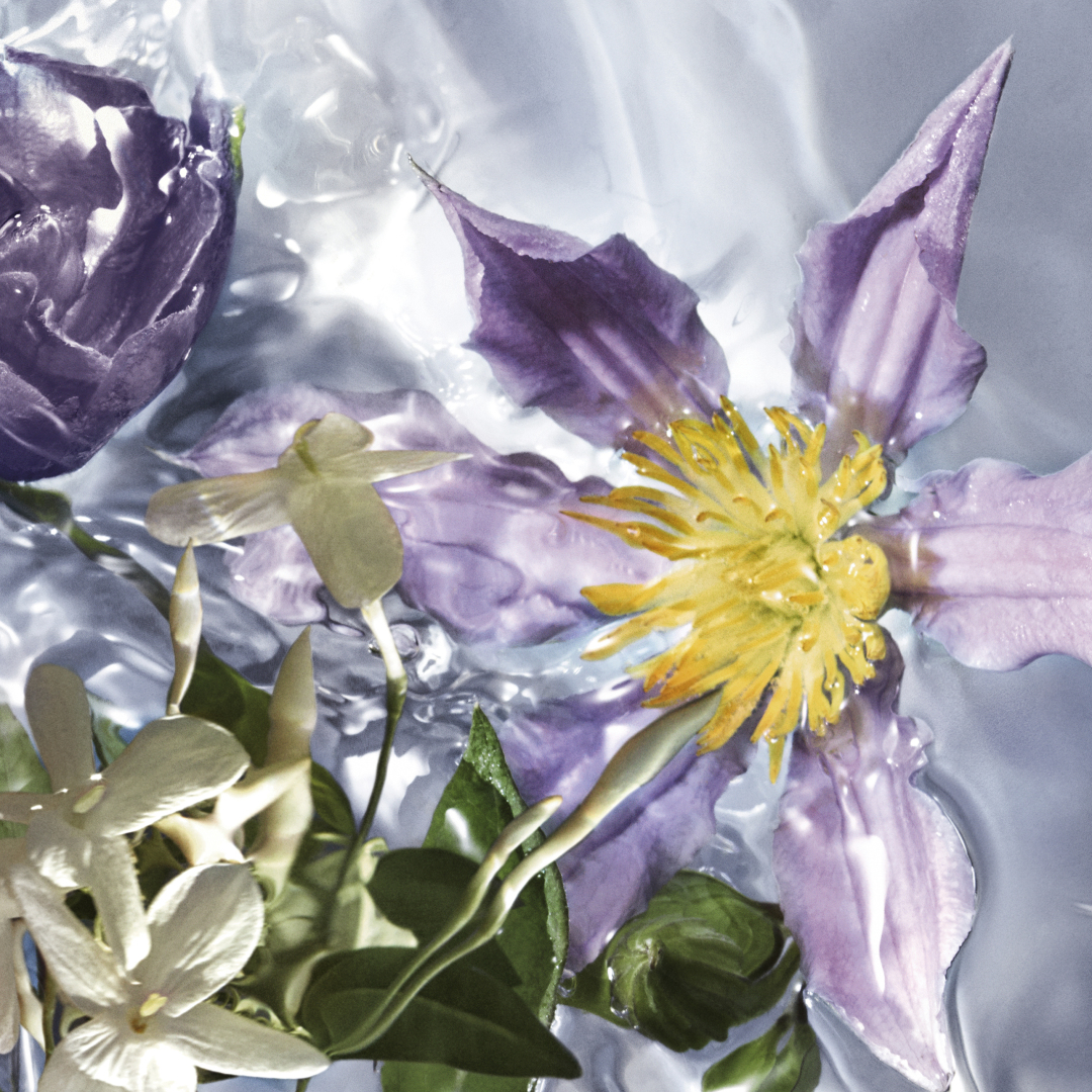 AQUA ALLEGORIA FLORA SALVAGGIA  EAU DE TOILETTE  2