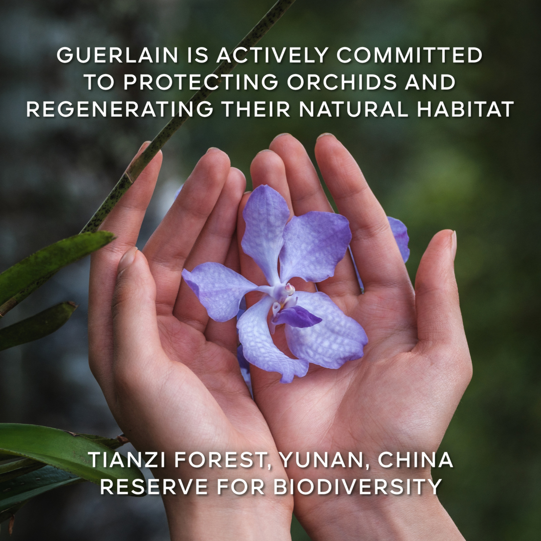 ORCHIDÉE IMPÉRIALE THE LONGEVITY CREAM - THE REFILL 8