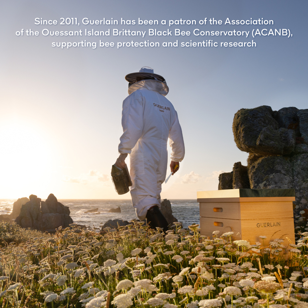 ABEILLE ROYALE BEE LAB SHOT 8