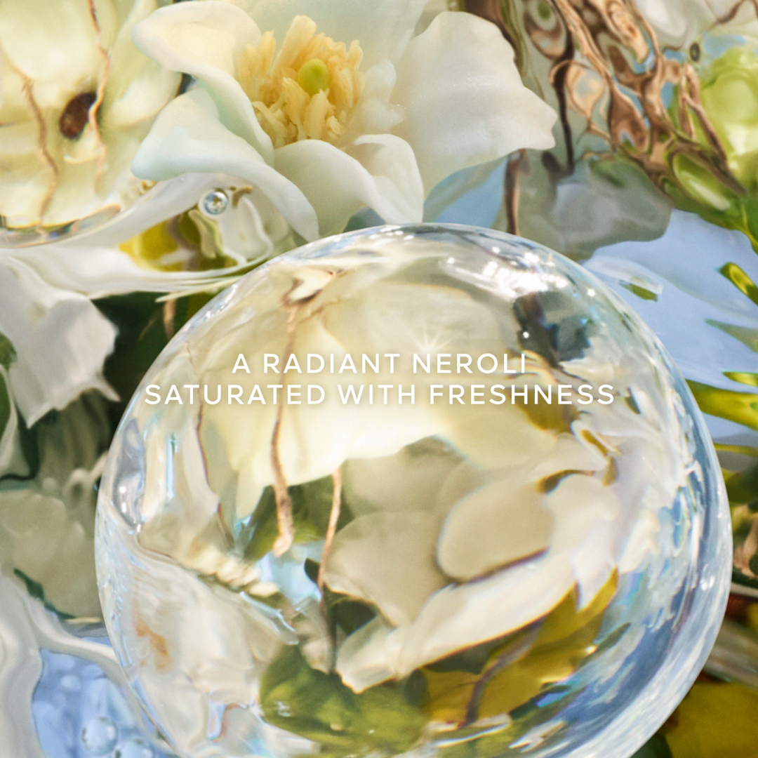 AQUA ALLEGORIA PERLE NEROLIA VETIVER EAU DE PARFUM-LIMITED EDITION 3