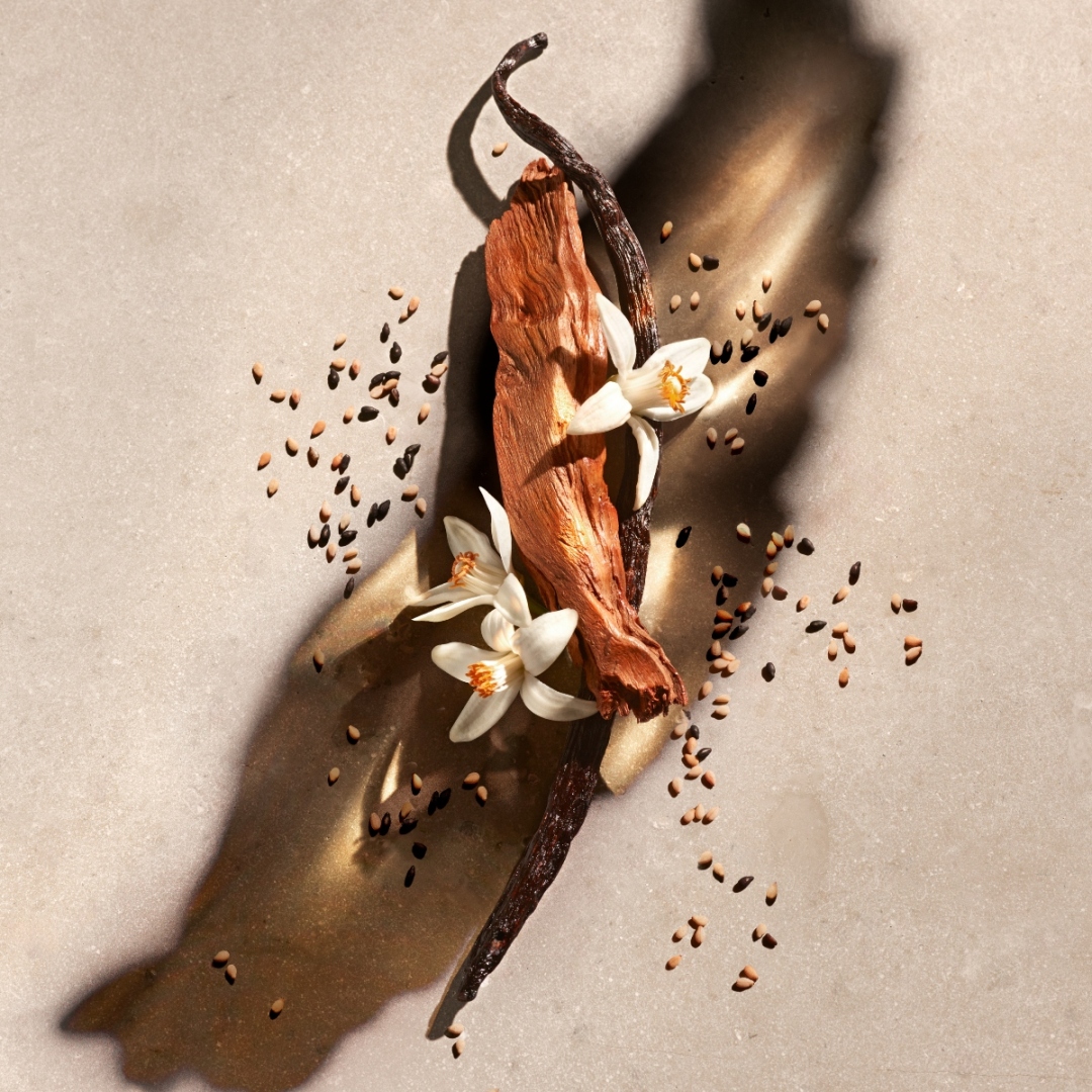 ZADIG BODY LOTION  1