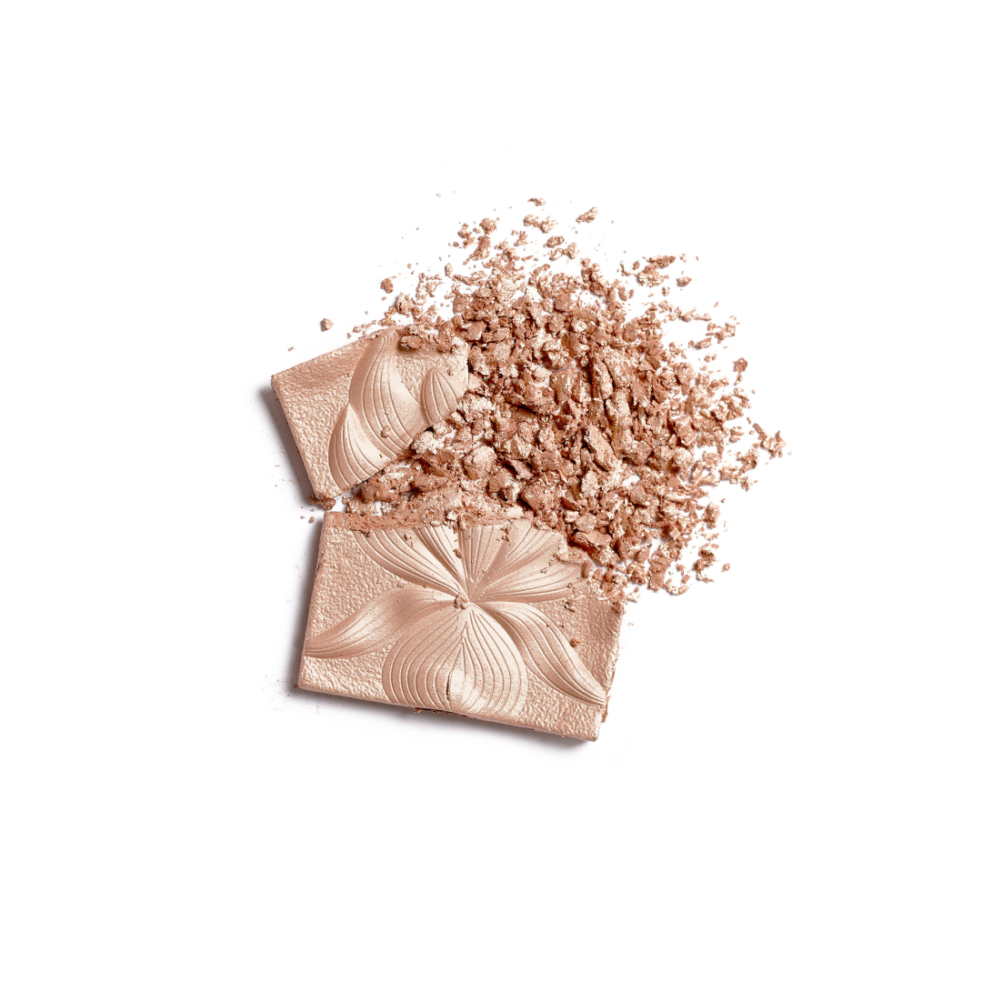 L'ORCHIDÉE HIGHLIGHTER 2