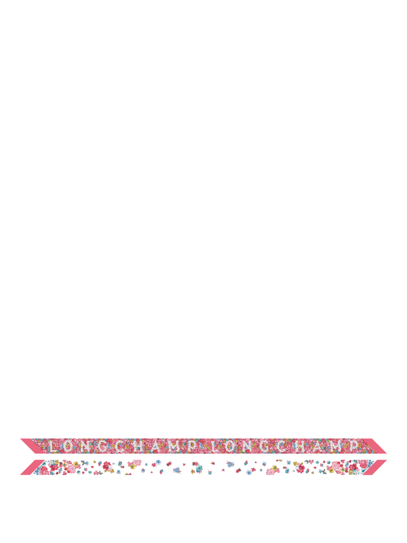 ΓΥΝΑΙΚΕΙΟ ΜΕΤΑΞΩΤΟ ΦΟΥΛΑΡΙ FRISE FLEURIE HEADBAND 0