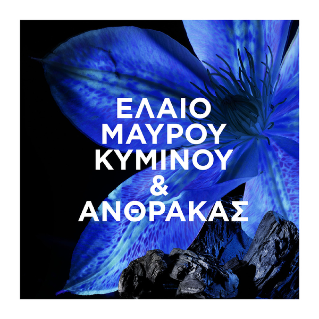 BOTANIC THERAPY ΜΑΣΚΑ ΜΑΛΛΙΩΝ MAGNETIC CHARCOAL 1