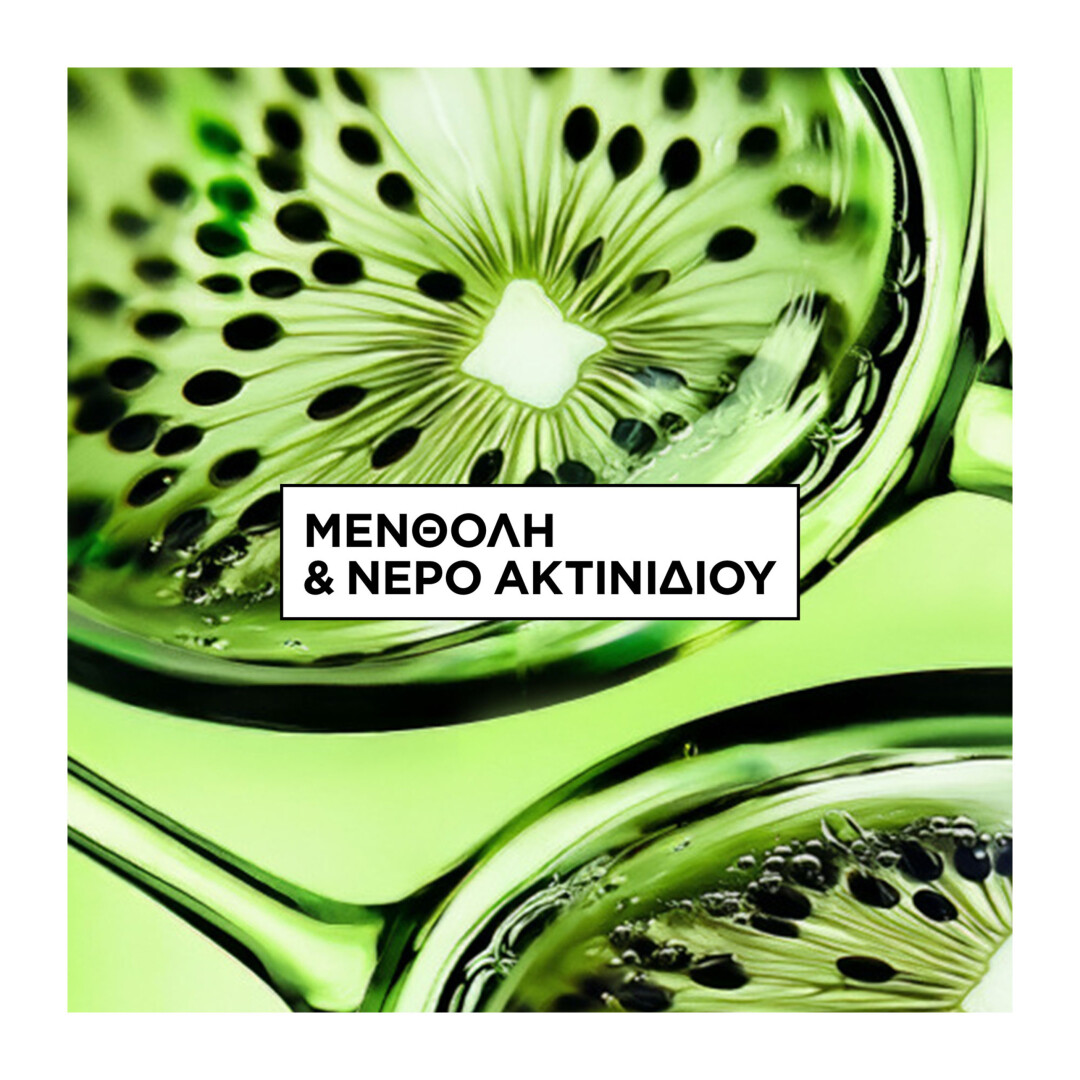 FRUCTIS HAIR FOOD 3-IN-1 ΜΑΣΚΑ ΜΕ ΑΚΤΙΝΙΔΙΟ  4