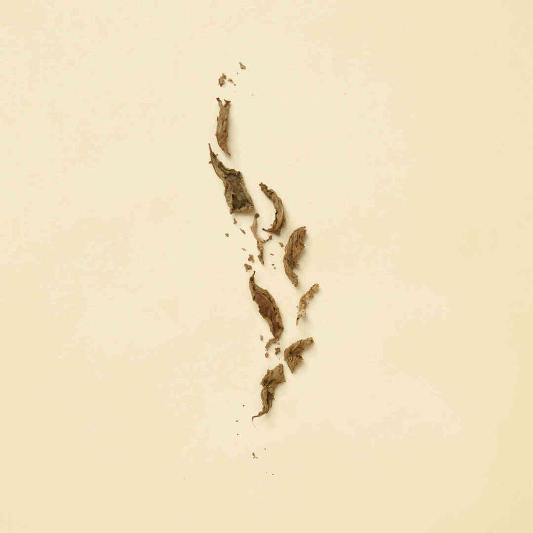 THE ALCHEMIST'S GARDEN THE LAST DAY OF SUMMER EAU DE PARFUM 4