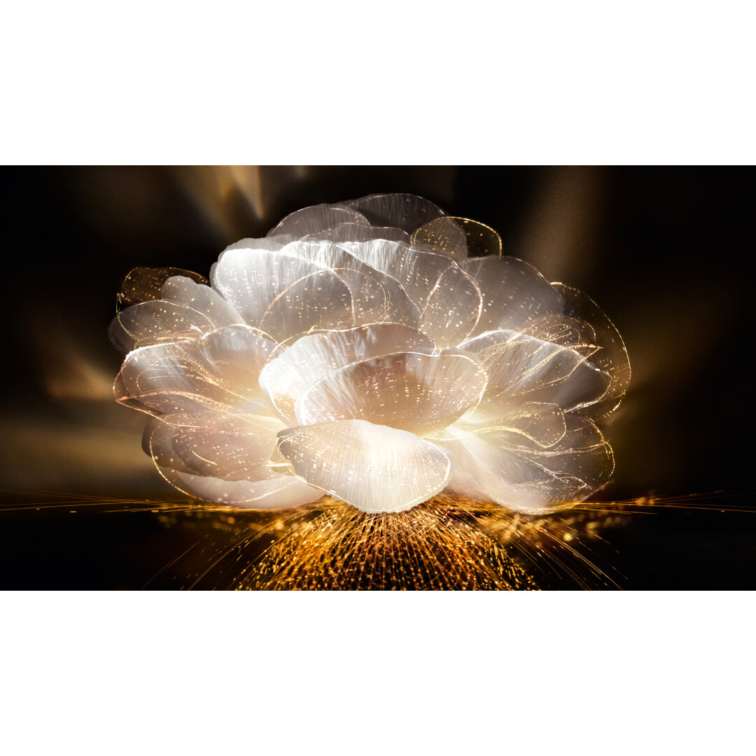 ABSOLUE L'EXTRAIT THE ELIXIR LOTION 2