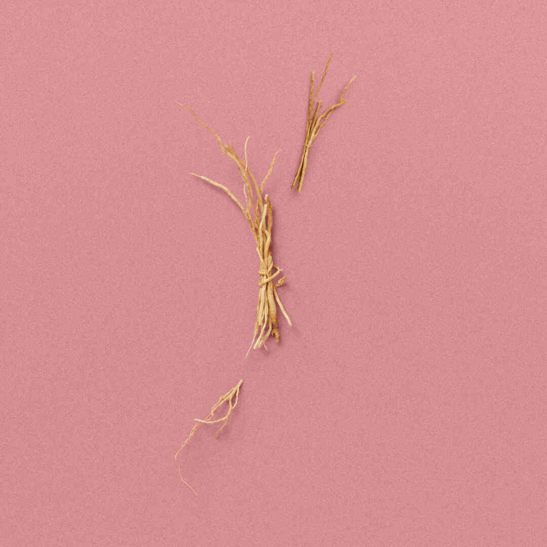 THE ALCHEMIST'S GARDEN A GLOAMING NIGHT EAU DE PARFUM 4