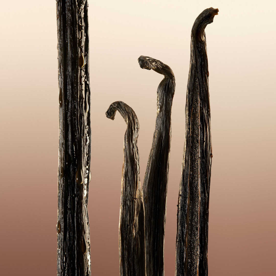 BURBERRY GODDESS EAU DE PARFUM 4