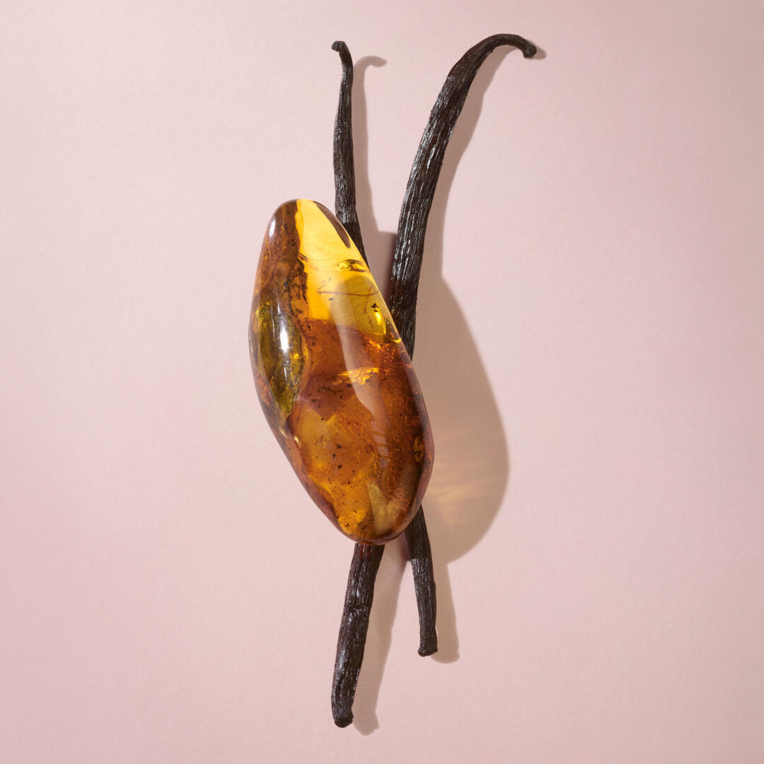 BURBERRY HER ELIXIR DE PARFUM WOMEN 3